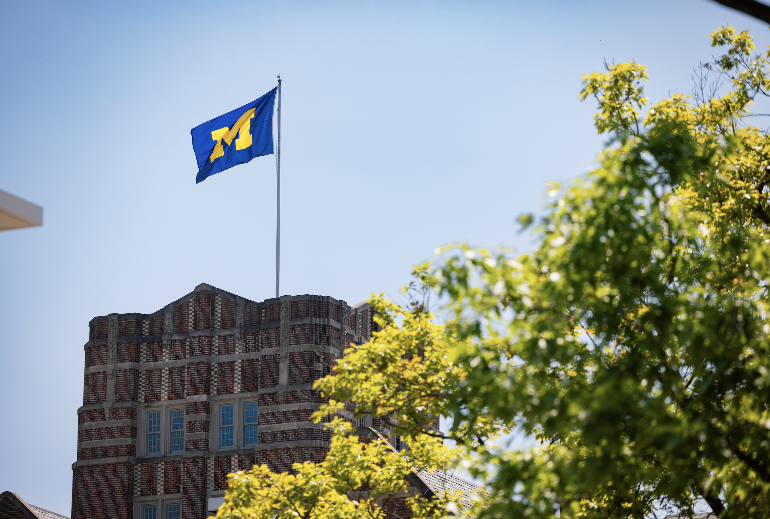 University of Michigan flag